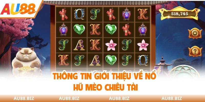 Thông tin giới thiệu về nổ hũ mèo chiêu tài